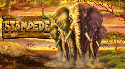 Play Slot Games at the Lucky99 3D Casino