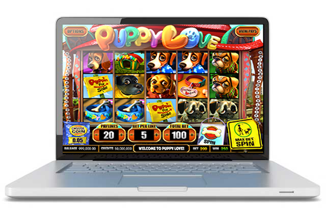 Lucky99 3D Casino Game Screenshot