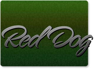 Play Slot Games at the Lucky99 3D Casino
